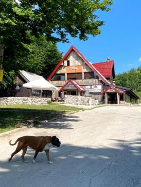 Hotels in Nikšić